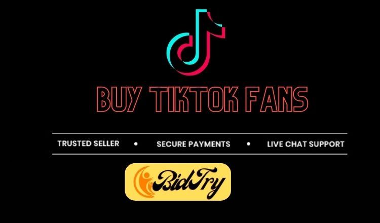 27718I will Provide 200+ TikTok Fans / Followers HQ & Non Drop